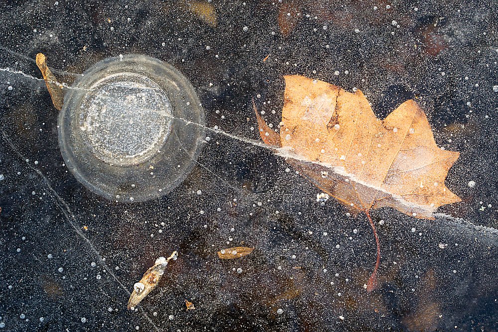 frozen ice cup